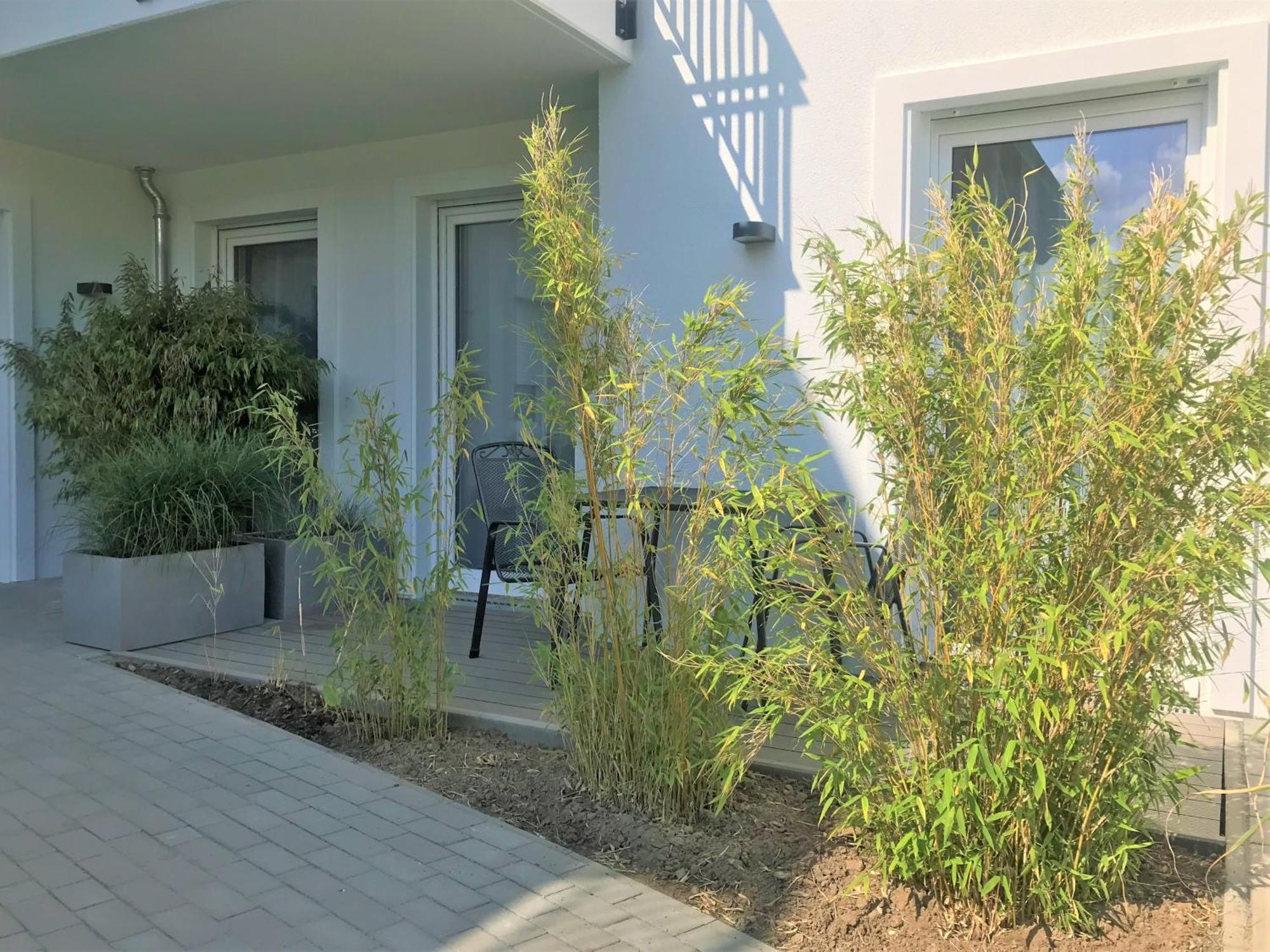 App 6, Strandresidenz Duenenperle Ostseebad Kühlungsborn المظهر الخارجي الصورة
